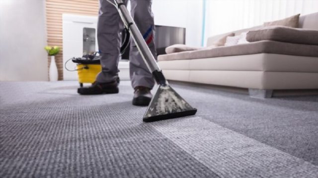 Best Area Rug Cleaning Services
