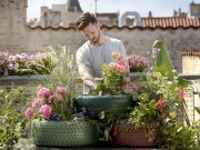 Benefits Of Gardening For Students And Schools