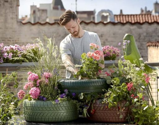 Benefits Of Gardening For Students And Schools
