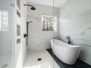 The Hidden Dangers of Bathroom Mold and How to Combat Them Bathroom