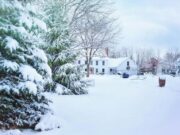Getting Your Furnace Ready for Winter: Essential Tips and Tricks Furnace For Winter