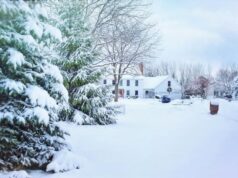 Getting Your Furnace Ready for Winter: Essential Tips and Tricks Furnace For Winter