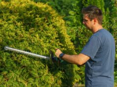 Garden Maintenance 101: Easy Tips for Beginners Garden Maintenance