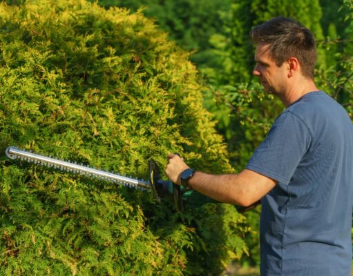 Garden Maintenance 101: Easy Tips for Beginners Garden Maintenance