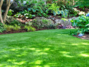 The Ultimate Guide to Home Landscaping and Patios Home Landscaping
