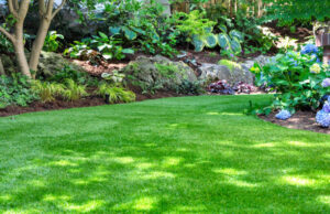 The Ultimate Guide to Home Landscaping and Patios Home Landscaping
