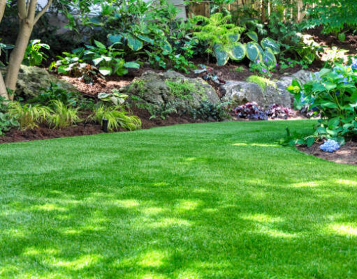 The Ultimate Guide to Home Landscaping and Patios Home Landscaping