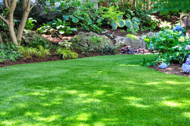 Home Landscaping