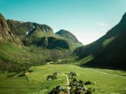 The Importance of Professional Irrigation Services for Healthy Landscapes Landscapes