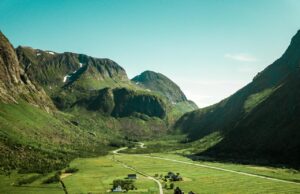 The Importance of Professional Irrigation Services for Healthy Landscapes Landscapes