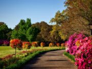 Home Improvement Tips for a Fresher Outdoor Space Outdoor Space