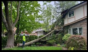 Challenges of Property Damage Restoration After a Storm Property Damage Restoration