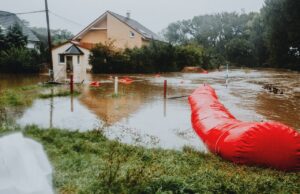 Top 6 Benefits of Professional Water Mitigation Services for Katy Residents Water Mitigation Services