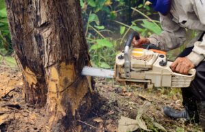 How to Keep Your Property Safe and Stunning Year-Round Property