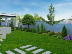 Step-by-Step Guide to a Beautiful Landscape Installation Landscape Installation