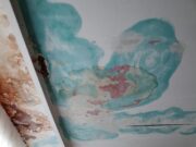 7 Ways to Protect Your Home from Water Damage During Heavy Rainfall Water Damage