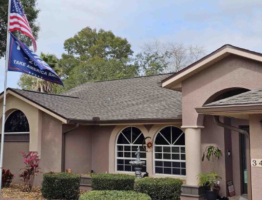 Roof Needs Repair