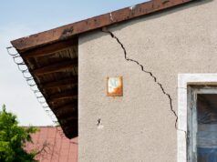 How Termites Cause Structural Damage and What It Means for Your Home’s Value Structural Damage