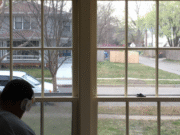 The Best Window Tinting Options for Home Office Privacy and Comfort Window Tinting