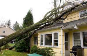 Storm Damage Repair in La Puente: Restoring Homes After Nature Strikes Storm damage repair