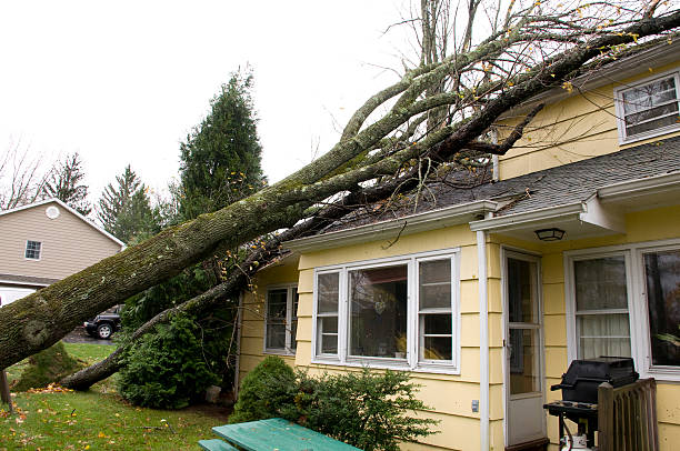 Storm damage repair