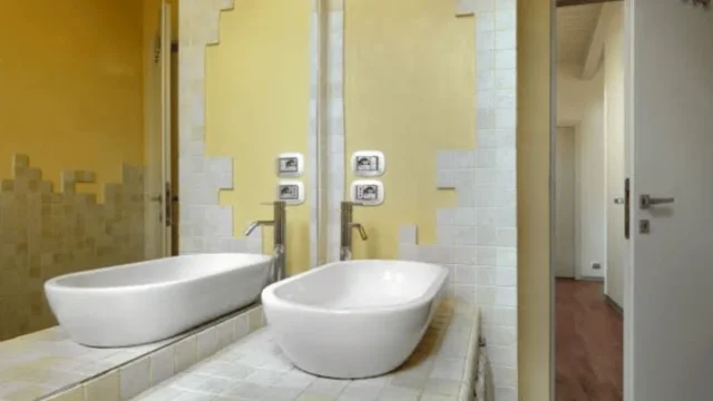 Black Mold in Shower
