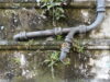 Before November’s Cold Nights, Should You Repair or Replace Your Home’s Aging Water Pipes? Water Pipes
