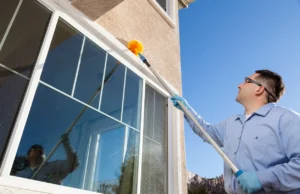 Small Screen Holes, Bigger Pest Problems: What Lake Stevens Homeowners Should Check This Fall Pest Problems